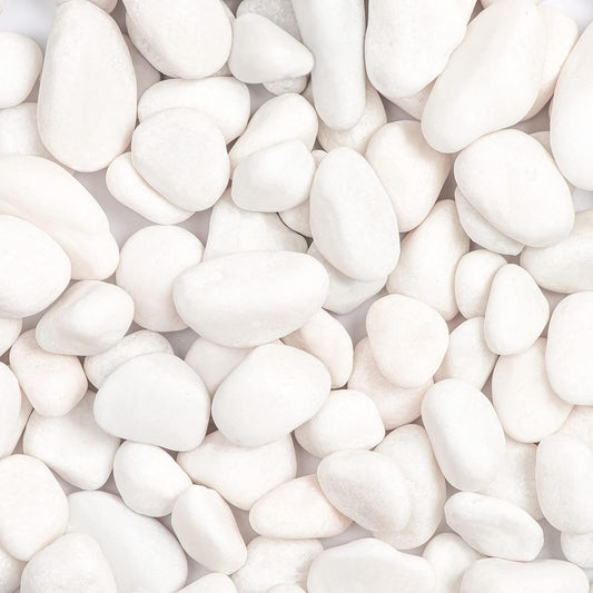5lbs White Natural River Rocks, Polished Pebbles for Plants Garden, 1-2 inch Decorative White Stones, Ideal for Fish Tank, Vases, Crafting, Home Decor and Garden Landscaping Rocks,White