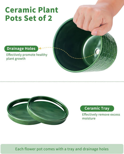 EFISPSS 6 Inch Plant Pot,Ceramic Pots for Plants with Drainage,Flower Pots Indoor Pots for Plants, Modern Flower Pots for Home and Office,Set of 2 - Patina