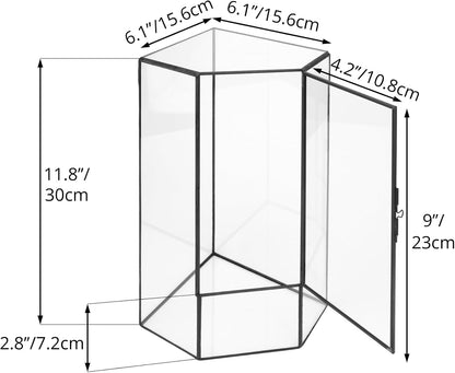 NCYP Wall Corner Geometric Glass Terrarium, Closed Front Opening Door Container Planter for Succulents, Small Plants - Black, Indoor Decor, Tabletop Landscape, 6.1" x 6.1" x 11.8" (Terrarium Only)