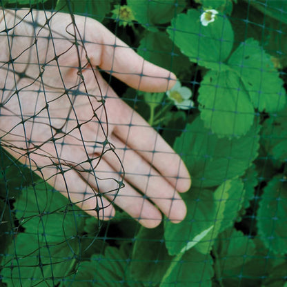 Bird B Gone Heavy Duty Garden Bird Netting - 14' x 200' Net Roll - UV-Stabilized Bird 3/4" Mesh for Garden Protection, Fruit Trees, Bushes, Plants - Anti Bird Netting Roll for Gardens & More - Black