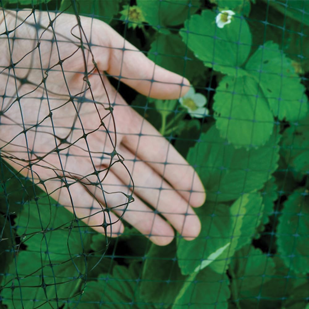 Bird B Gone Heavy Duty Garden Bird Netting - 14' x 100' Net Roll - UV-Stabilized Bird 3/4" Mesh for Garden Protection, Fruit Trees, Bushes, Plants - Anti Bird Netting Roll for Gardens & More - Black