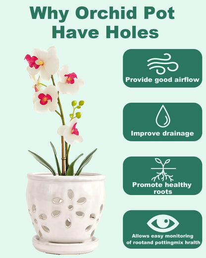 vensovo 5 Inch Ceramic Orchid Pots with Holes and Saucers - 1 Pcs Small Succulent Pot for Repotting, Garden Flowerpots for Plants Indoor and Outdoor Promotes Air Circulation, White