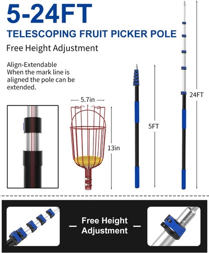 30FT Reach Fruit Picker, 5-24 Foot Sturdy Aluminum Telescoping Fruit Picker Extension Pole with Metal Twist-on Basket, Suit for Apple Pear Lemon Mango Guava Orange Avocados Tree Fruit Picking