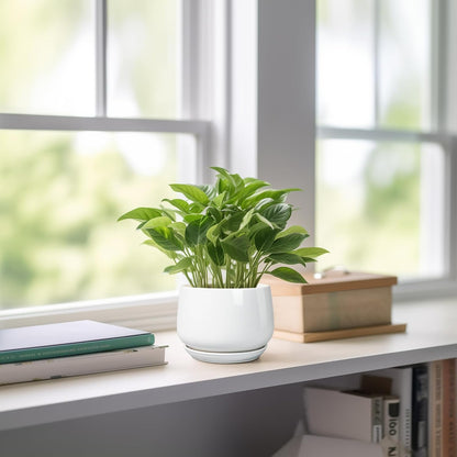 G EPGardening Ceramic Plants Pots - 4 inch Succulent Pots for Indoor Outdoor, Small Planter with Drainage Hole & Saucer, Round Planter, Modern Flower Pot, Office Decor, Plant Lovers Gifts, White