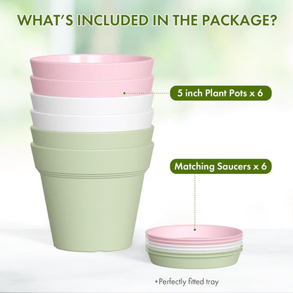 5 Inch Plastic Plant Pots with Drainage Holes and Trays – 6 Pack Small Nursery Pots for Indoor & Outdoor House Plants and Flowers, Seedling Starter Planters, Colorful