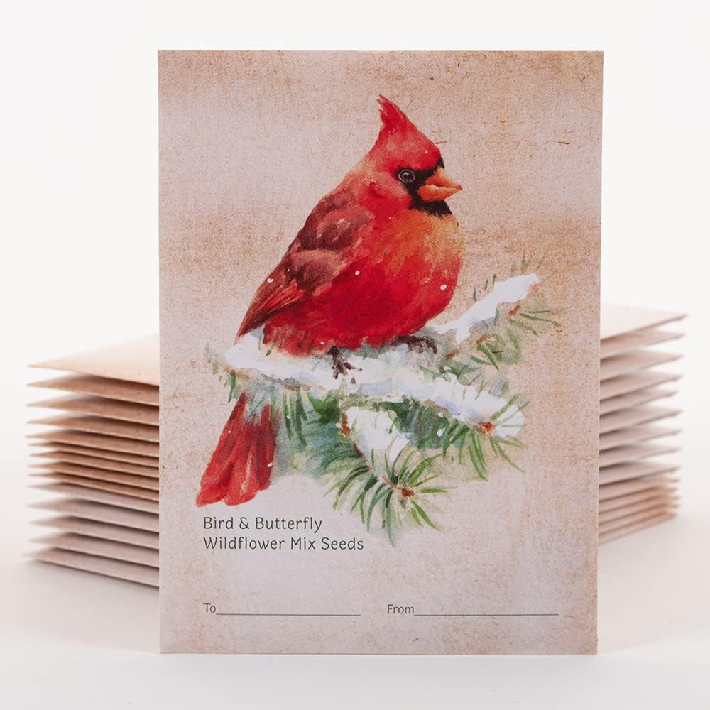 Bentley Holiday Christmas Snowy Cardinal Gift Tags with Non-GMO, Non-Coated Bird & Butterfly Pollinator Wildflower Seeds, 25 Packets