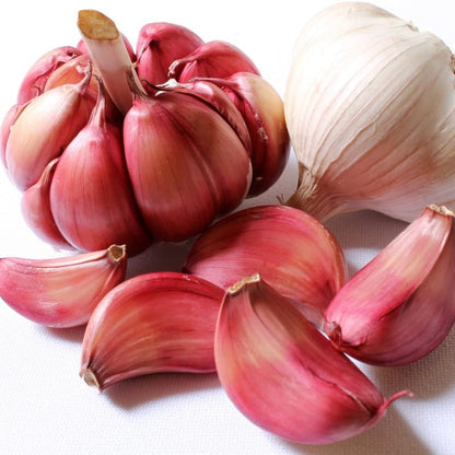 1 Pound Garlic for Planting in Fall Hardneck, 8 Red Garlic Bulbs for Planting, Fresh and High Yield Bulb Variety Pack, Hardy and Fast Growing