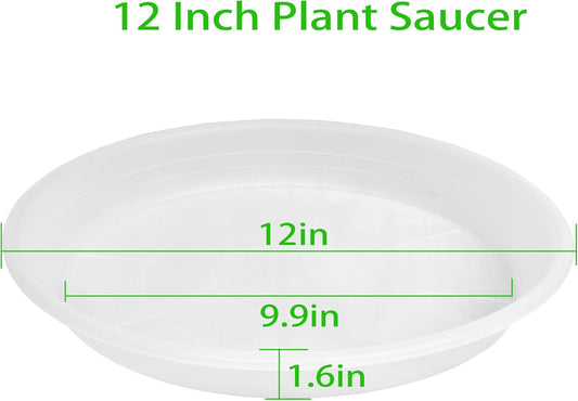 2 Pack of Clear Plant Saucer 12 inch, Clear Plastic Plant Drip Trays, Heavy Duty Plant Trays for Indoors no Holes, Plant Water Tray for Planters