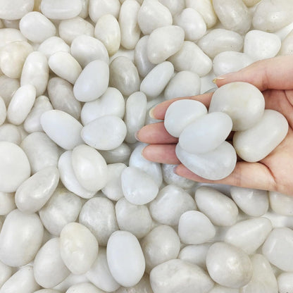 2lbs Small White Pebbles for Plants, 0.8-1.2 inch Decorative River Rocks for Plants, Aquariums, Landscaping. White Stones for Planter Vase and Outdoor Garden Rocks