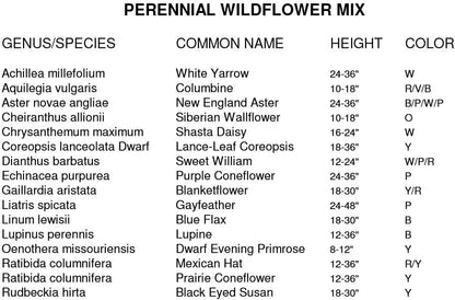 Non GMO Bulk All Perennial Wildflower Seed Mix (1/2 Lb) 188,000 Seeds