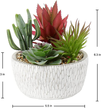 Briful Small Fake Plants Assorted Faux Succulents in Pots Realistic Succulents Plants Artificial with Cement Pots for Home Table Office Desk Bathroom Shelf Living Room Decor
