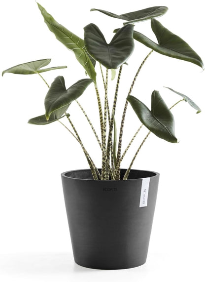 Ecopots Amsterdam Durable Modern Round Indoor/Outdoor Recycled-Based Composite Flower Pot Planter, Dark Grey, 16"