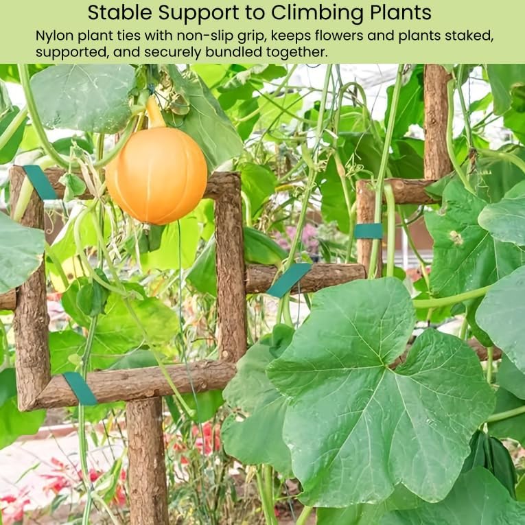 Plant Ties Hook and Loop Garden Tape Roll Gentle Double Sided Garden Stake Strap Reusable Adjustable Nylon Plant Support Ties for Climbing Plants (1/2 Inch x 82 ft, Green)