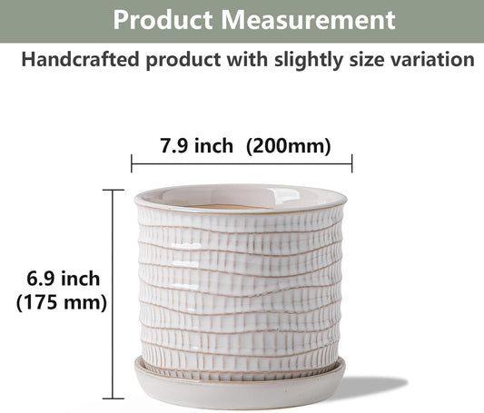 8 Inch Plant Pot: Ceramic Planter with Drainage Hole & Saucer - Cream White Flowerpot for Indoor & Outdoor Plants - with Separate Tray for Home & Office - Wave Embossed Design