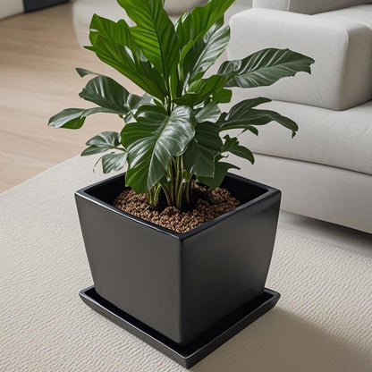 Square Plant Saucer 10 Inch 1 Pack，Plant Trays for Pots, Black Ceramic Plant Saucers for Indoors Outdoors, Plant Drip Tray 4 6 8 10 12 14 Inch