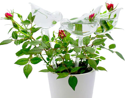 Glass Plant Watering Globes, Self Watering Globes Bird Shape, Self Watering Planter Insert, Plant Watering Devices, Automatic Plant Waterer Indoor, Watering Bulbs, 2 Pack