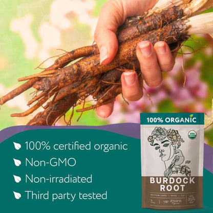 Premium Burdock Root Organic (4oz.) – Great Burdock Tea Loose - Raiz de Bardana Organica – Support Digestion, Liver, Gut Health