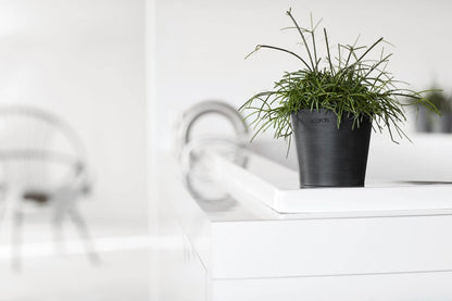 Ecopots Amsterdam Mini Durable Modern Round Recycled-Based Composite Flower Pot Planter, Dark Grey, 4"