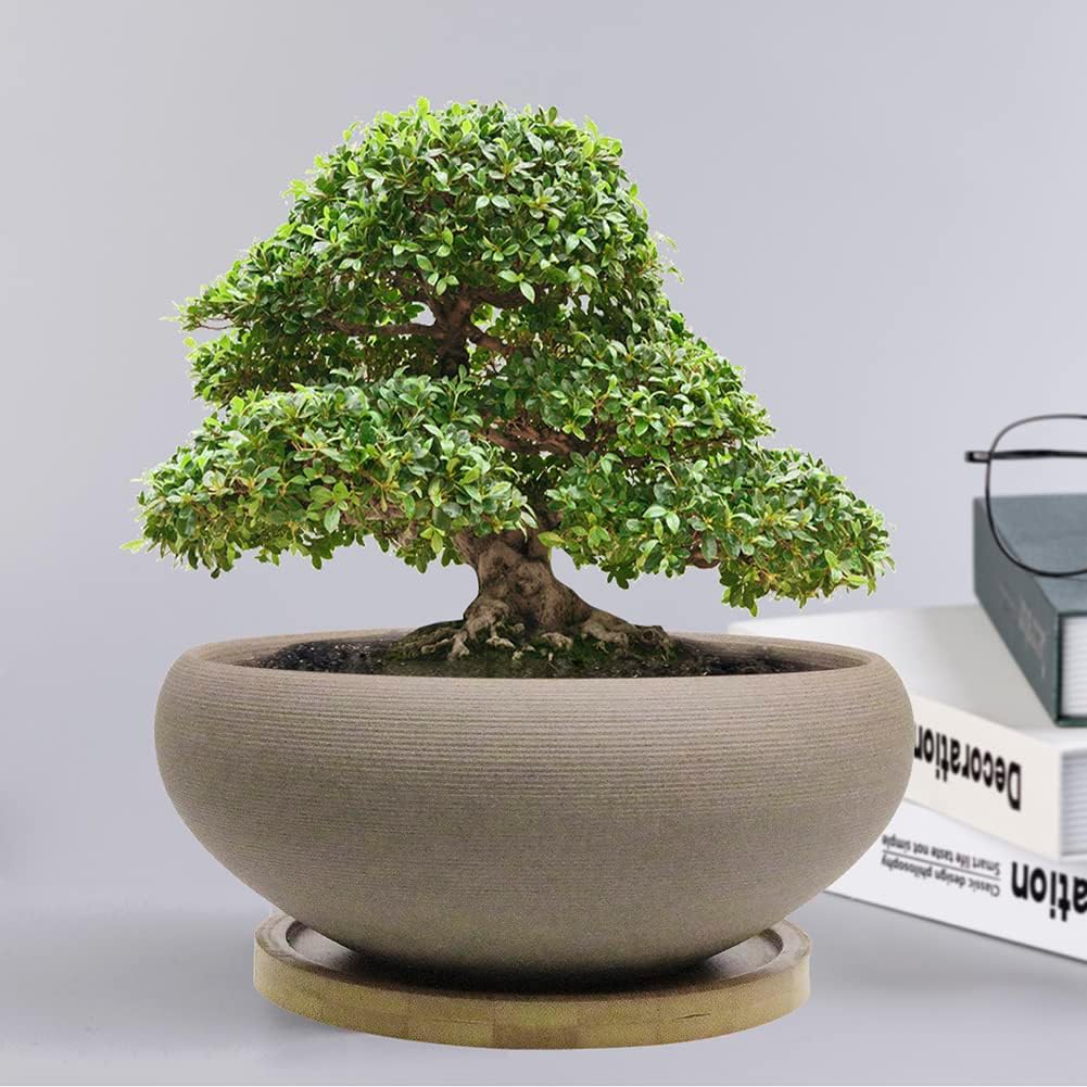 MUZHI Round Unglazed Ceramic Bonsai Pot with Bamboo Tray, Large Rough Pottery Succulent Planter with Drainage Hole 8 inch …