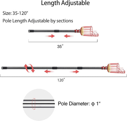 DonSail Fruit Picker Pole Tool with Basket Telescoping - Adjustable Mango Picker 35-120 inch Long Handle - Apple Orange Avocado Acorn Lemon Pear Pomelo Chery Picker for Tree