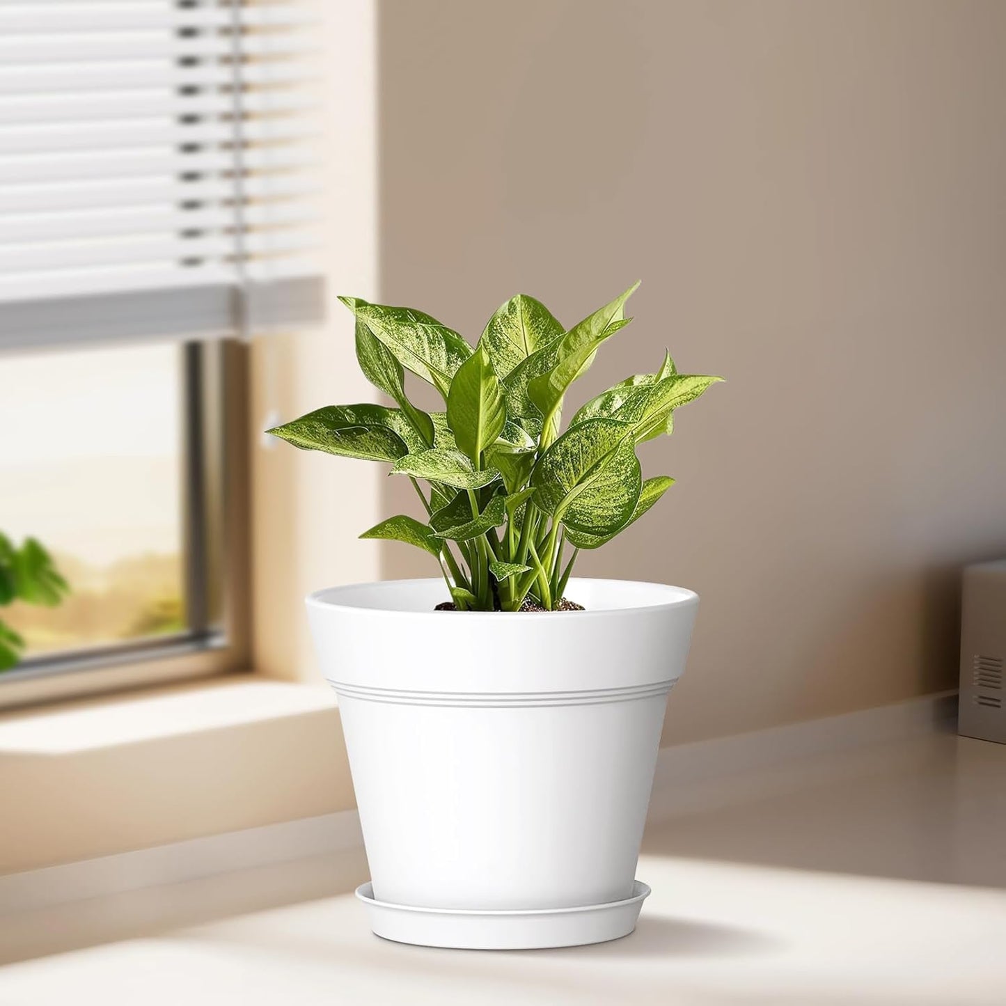 6 Inch Thick Plastic Plant Pots with Drainage Holes and Trays – 6 Pack Nursery Pots for Indoor & Outdoor House Plants, Seedling Starter Planters for Garden Flowers, Colorful