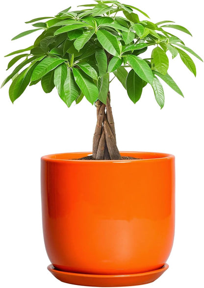 7 Inch Plant Pot - Ceramic Planter with Drainage Hole and Saucer, Modern Round Ceramic Flower Pot for Indoor Outdoor Plants, Plant Lover Gifts, Home Garden Office Decor, Orange