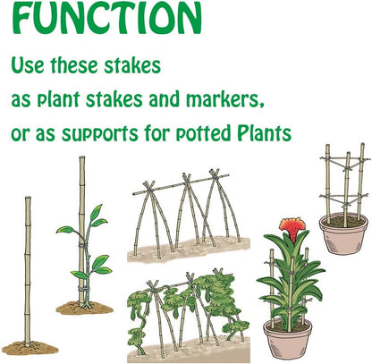 Mininfa Natural Bamboo Stakes 4 Feet, Eco-Friendly Garden Stakes, Plant Stakes Supports Climbing for Tomatoes, Trees, Beans, 25 Pack