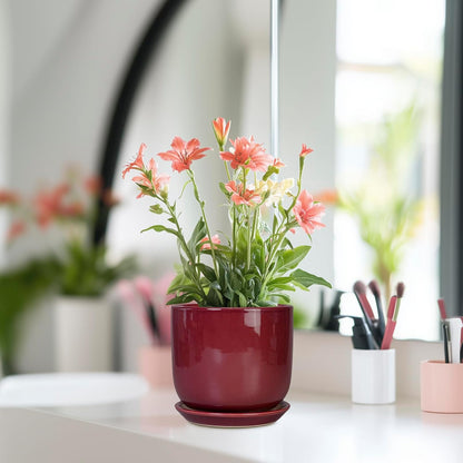 Ceramic Plant Pot - 5 Inch Modern Round Planter for Indoor Plants with Drainage Hole and Saucer, Patio Office House Room Bathroom Decor, Red