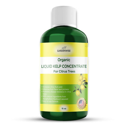 Organic Premium Kelp Seaweed Fertilizer: All-in-One Citrus Tree Fertilizer for Meyer Lemon, Lime, and Other Fruiting Trees - Liquid Plant Food for Potted & Outdoor Citrus Trees (16 OZ)