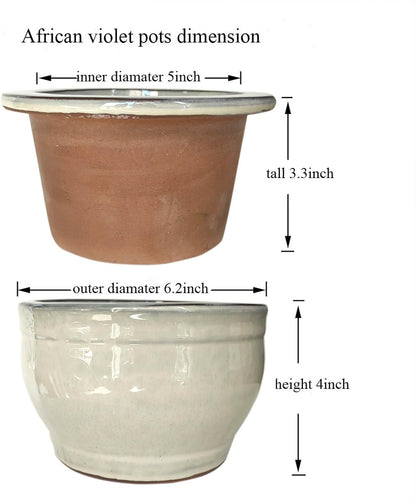 African Violet Pots Self Watering Round Ceramic Violet Pot (White, 6 inch)