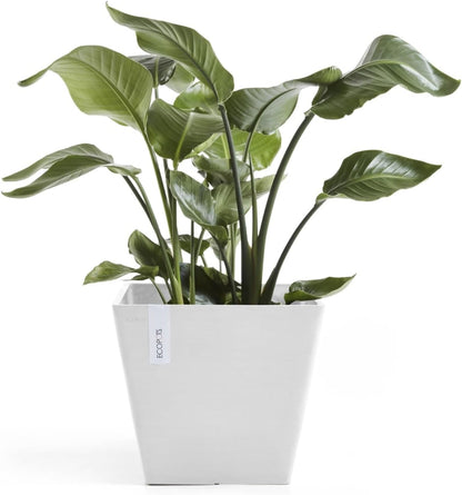 Ecopots Rotterdam Durable Modern Square Indoor/Outdoor Recycled-Based Composite Flower Planter, Pure White, 12"