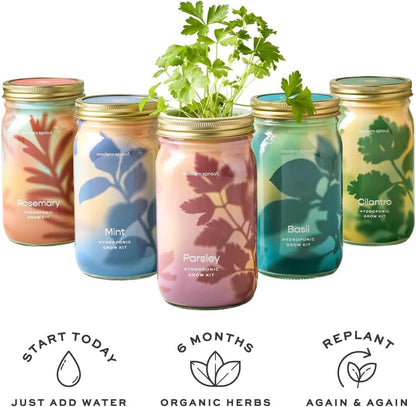 Modern Sprout Mason Garden Jar - Self-Watering Hydroponics Growing System Kit with Organic Herb Seeds - Jar Planter for Indoor Herb Garden - Seed Starter Kit - Home Decor & Gifting - Lavender+Rosemary