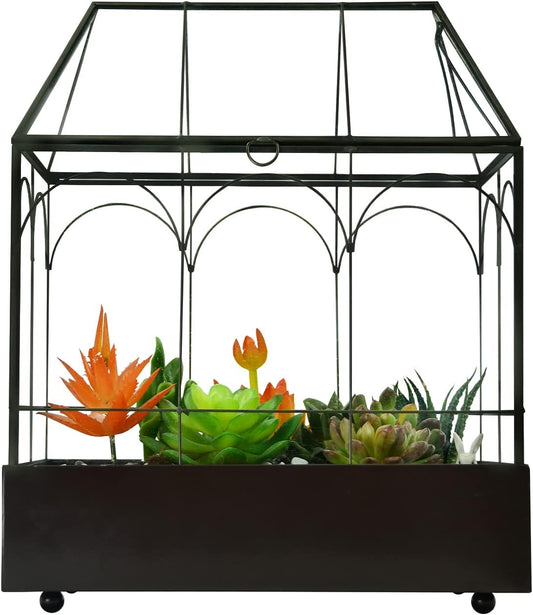 Large Tall Glass Plant Terrarium – House Succulent Terrarium Kit with Lip and Tray Glass Greenhouse Terrarium for Plant 9.5”X5.7”X11.4”
