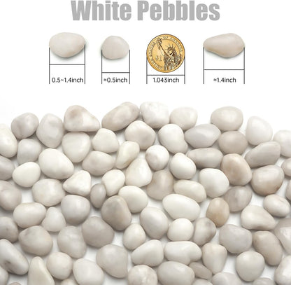 5 Lbs River Rocks for Plants,0.4-1.2 Inch Decorative Ornamental Pebbels, High Polished Stones for Garden Landscaping, Smooth Gravel Filler for Outdoor Plants, Succulents, Fish Tank and Vases, White
