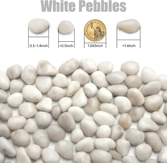 5 Lbs River Rocks for Plants,0.4-1.2 Inch Decorative Ornamental Pebbels, High Polished Stones for Garden Landscaping, Smooth Gravel Filler for Outdoor Plants, Succulents, Fish Tank and Vases, White