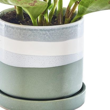 CHIVE ‘Minute’ Ceramic Planter Pot — Cute 5” Colorful Succulent Pots for Indoor & Outdoor House Plants — Beautiful Modern Farmhouse Kitchen Decor — Matte Green