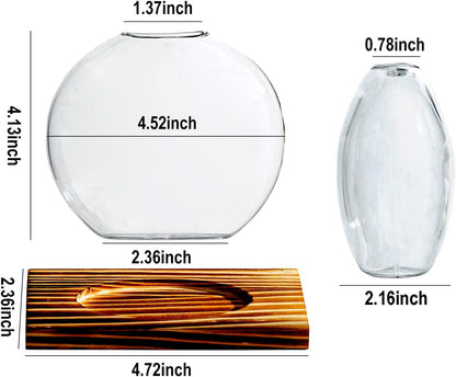 Glass Planter Propagation Station with Wooden Base - Clear Oblate Hydroponic Vase, Decorative Desktop Flower Vase for Home, Office, Windowsill - Gift for Plant Lovers (2)