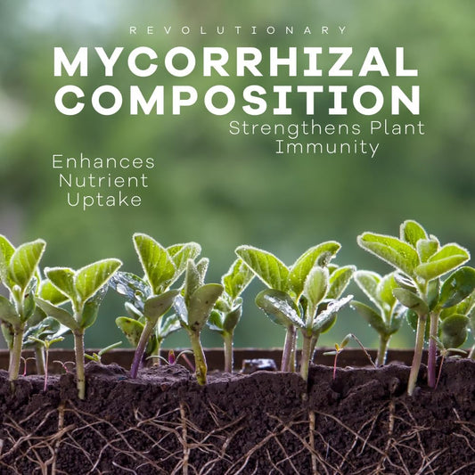 DYNOMYCO Granular Mycorrhizal Fungi Inoculant, 200g / 7oz – Boosts Root Growth, Yields & Nutrient Uptake – 900 Propagules/g, Concentrated Granules, & OMRI Listed – Biofertilizer for Plant Growth