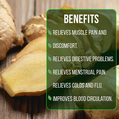 Ginger Root Plant (4 Pack) | Live Edible Plant for Planting | Grow Your Own Fresh Ginger at Home | Spicy & Aromatic Rhizome for Cooking & Tea | Easy to Grow Perennial for Organic Gardens