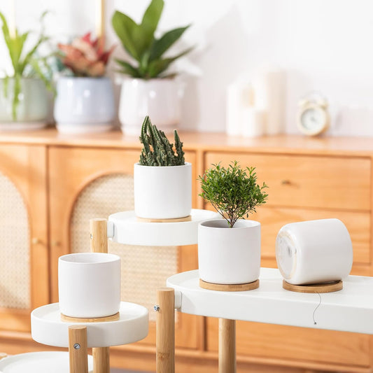 OMAYKEY 4 Inch Ceramic Plant Pot with Saucer, White Planters Pots with Drainage Hole and Mesh Pads for Succulent, Snake, Cactus, Herbs - 4 Packs(Plant Not Included)