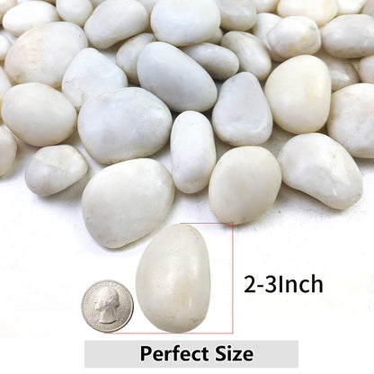 20lbs White River Rocks for Landscaping, 2-3 Inch Natural Pebbles for Indoor Plants, High Polished Decorative Stones Vase Filler Fish Tank Aquariums Garden Outdoor and Indoor DIY