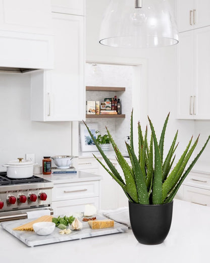 Large Fake Succulent Aloe Vera Plants 16.5 Inch Artificial Succulents with Black Pot Faux Aloe Potted Plant for Desk Modern Home Office Bedroom Living Room Table Shelf Decor