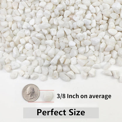 10LB Succulent and Cactus Gravel Pebbles, 3/8 Inch Natural Decorative Polished Stones, River Rocks for Plants, Vases, Aquariums, Terrarium and Outdoor Gardening, White