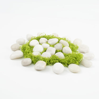 Natural White River Pebbles - LOOIOOJ 20 Lbs Polished Decorative Rocks, 0.5-1 inch, for Aquariums, Gardens, and Indoor Plant Drainage (White, Weight: 20 LB)