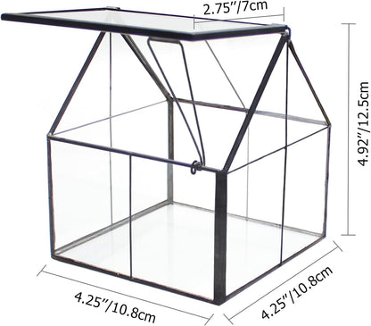 NCYP Mini Glass Geometric Terrarium with Lid - 4.25" x 4.25" x 4.92" Small House Shape Close Planter Pot for Succulents Plant - Handmade, Home Garden Office Tabletop Decor, Black (Terrarium Only)