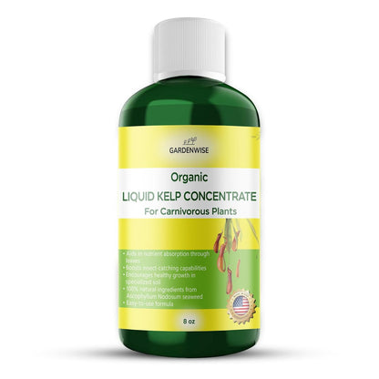 Organic Premium Kelp Seaweed Fertilizer: Indoor Plant Fertilizer & Carnivorous Plant Food for Venus Flytraps, Sundews, Drosera Capensis,Pitcher Plants,Butterworts & Other (8 OZ)