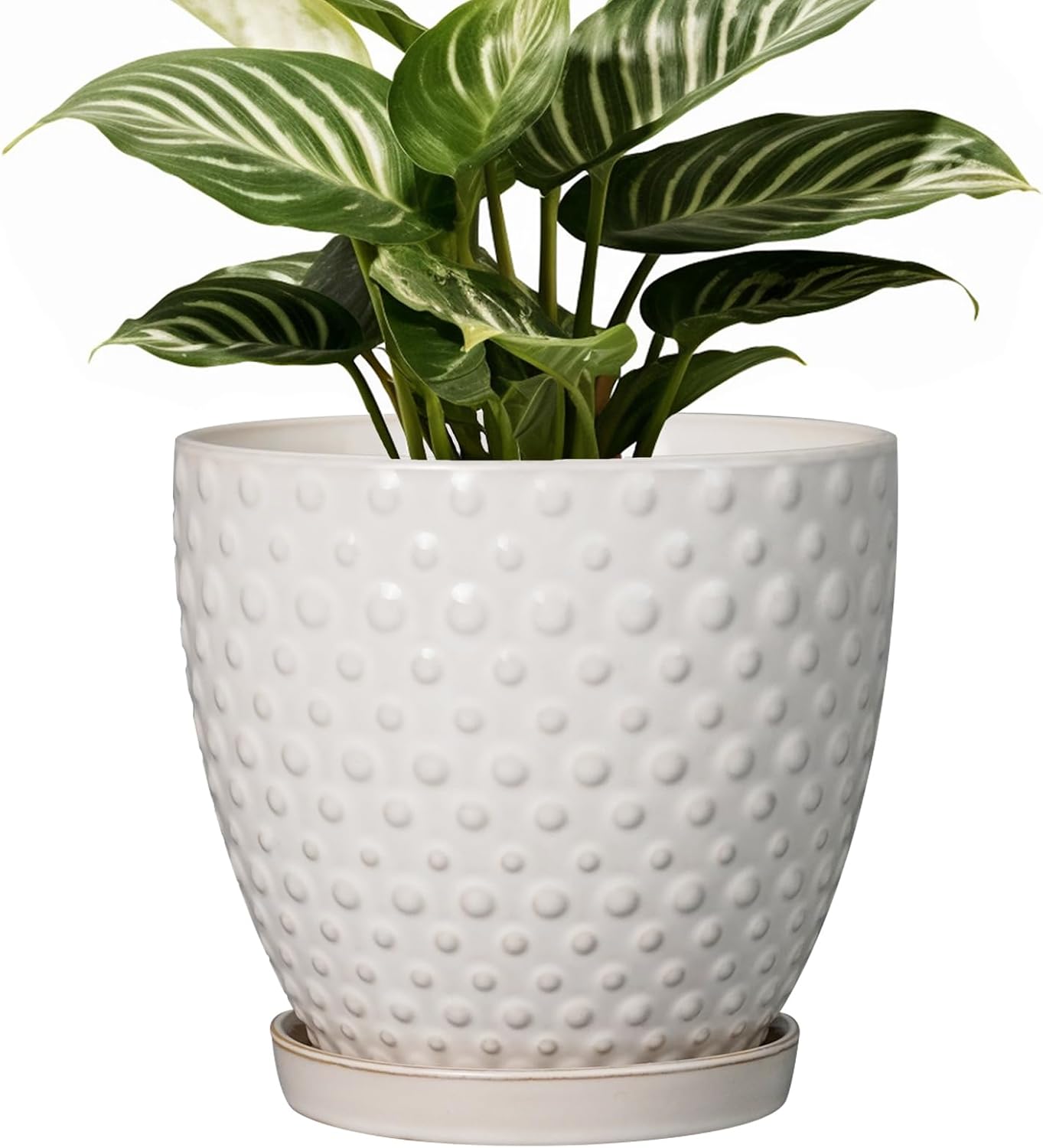 G EPGardening 7 Inch Ceramic Plant Pot with Drainage Hole and Saucer Round Planter Decorative Flower Plant Pot for Indoor Plants Outdoor White