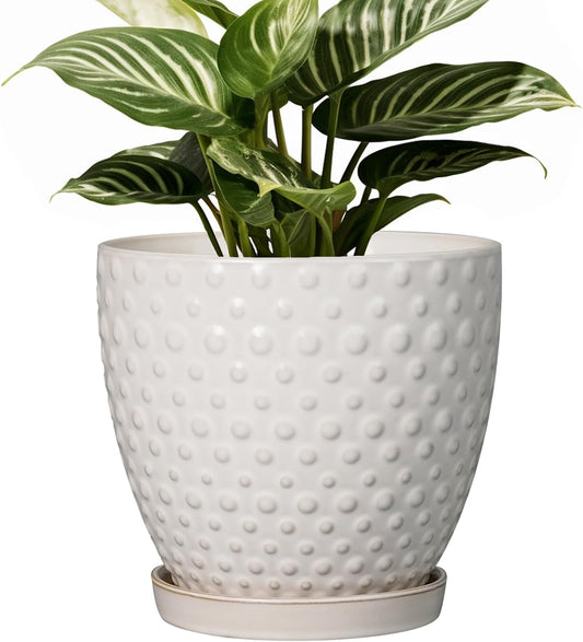 G EPGardening 7 Inch Ceramic Plant Pot with Drainage Hole and Saucer Round Planter Decorative Flower Plant Pot for Indoor Plants Outdoor White