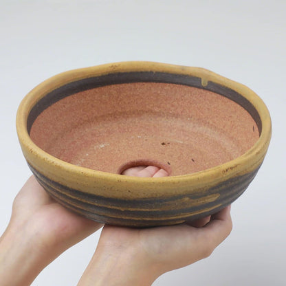 Wazakura Shigaraki Series Yellow Dust Stripe Glazed Ceramic Bonsai Pot Made in Japan, Garden Training Container, Flower Planter, Succulent Bowl - Yellow Sand Big Size