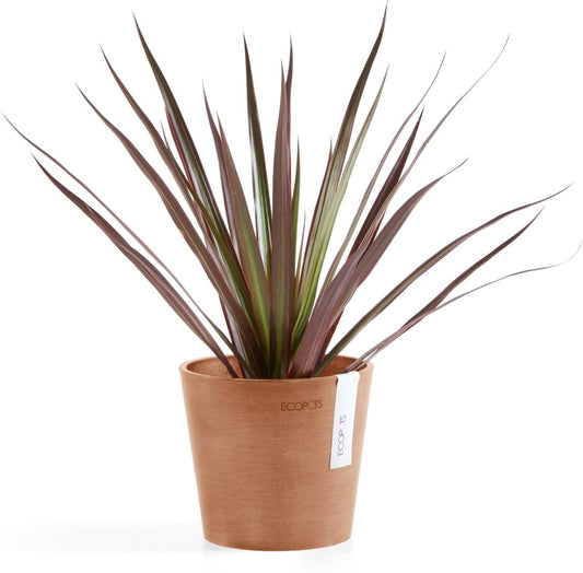 Ecopots Amsterdam Mini Durable Modern Round Recycled-Based Composite Flower Pot Planter, Terracotta Color, 5"